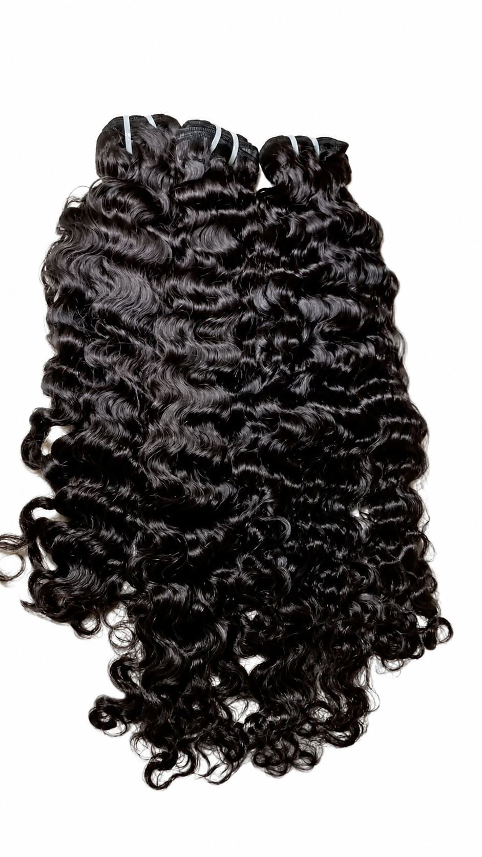 Raw Burmese Curly